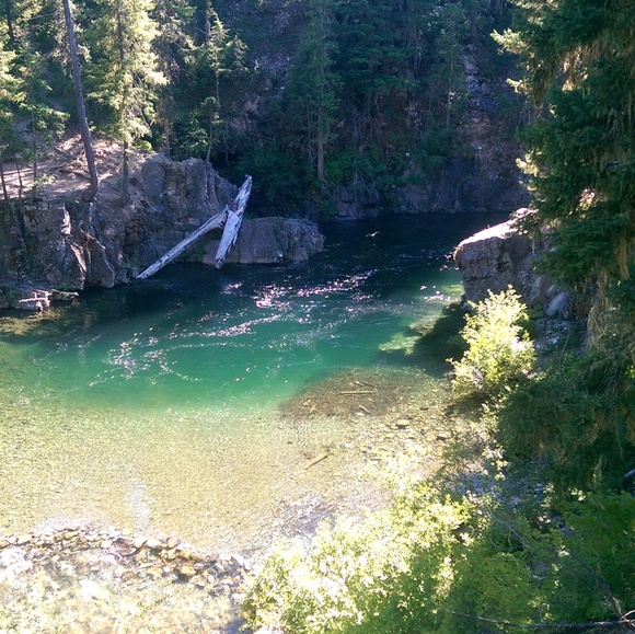 Meet your Posher, Cody - Picture 1 of 1